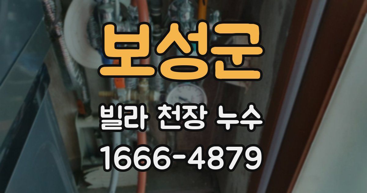 보성군 빌라 천장 누수