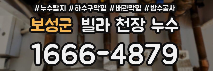 보성군 빌라 천장 누수