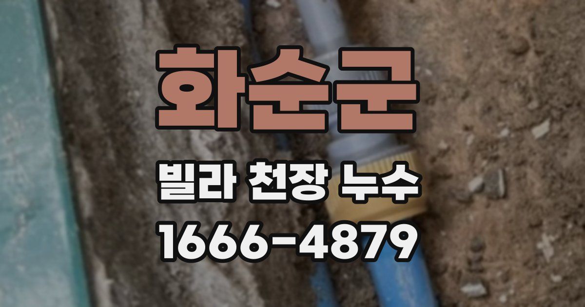 화순군 빌라 천장 누수