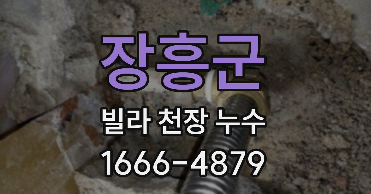 장흥군 빌라 천장 누수