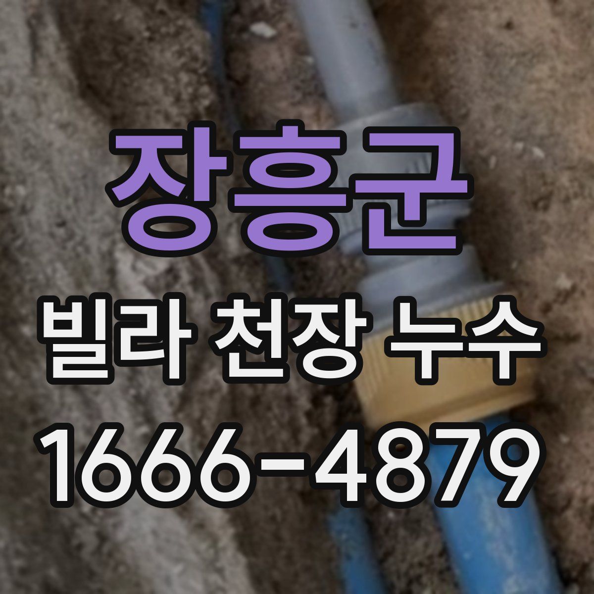 장흥군 빌라 천장 누수