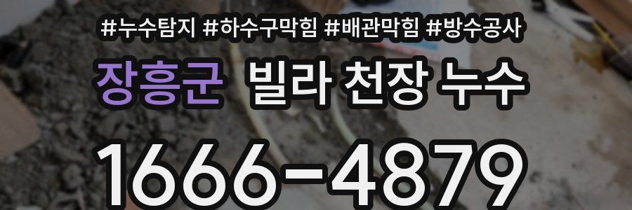 장흥군 빌라 천장 누수