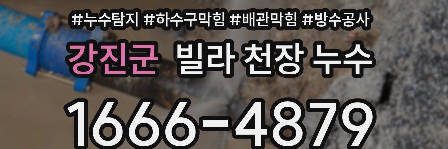 강진군 빌라 천장 누수