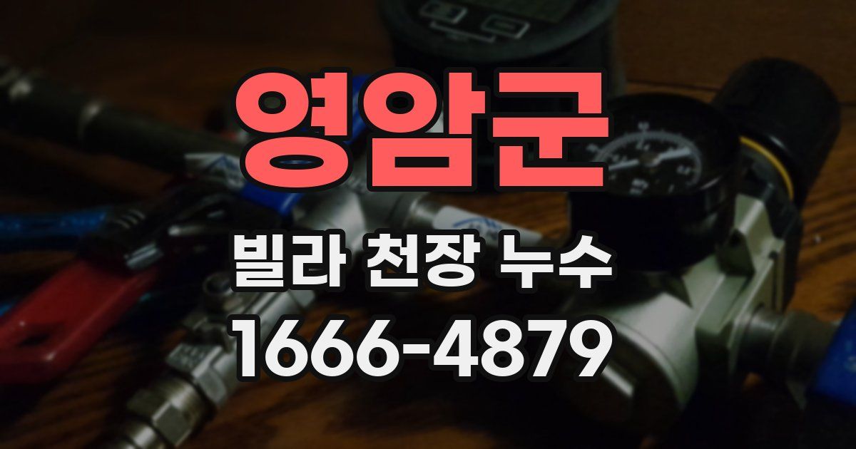 영암군 빌라 천장 누수
