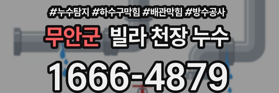 무안군 빌라 천장 누수