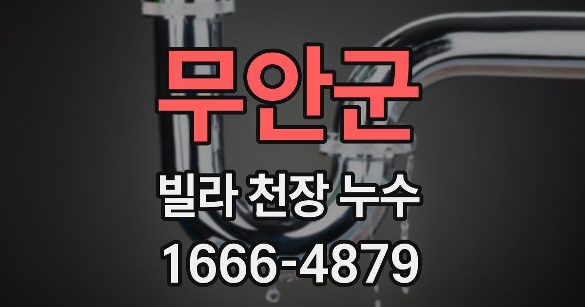 무안군 빌라 천장 누수