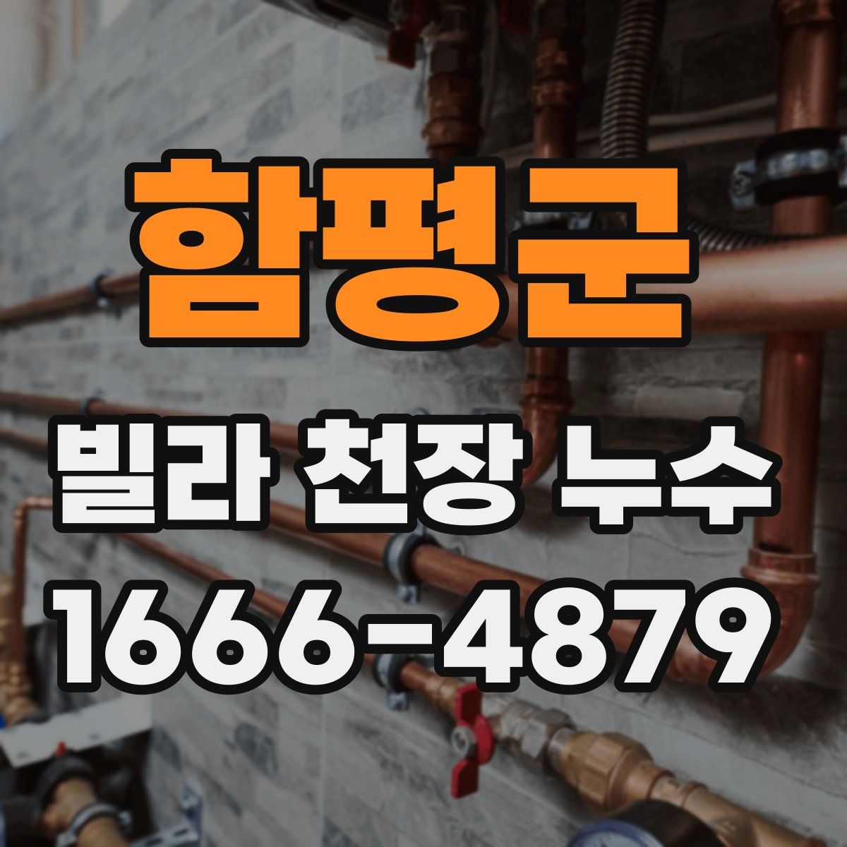 함평군 빌라 천장 누수