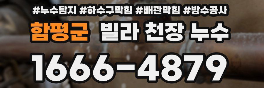 함평군 빌라 천장 누수