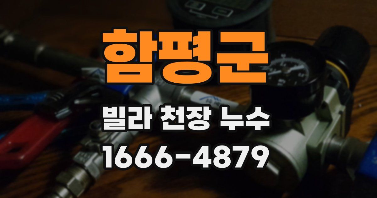 함평군 빌라 천장 누수