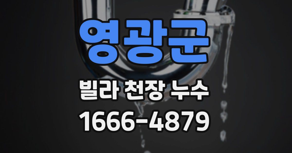영광군 빌라 천장 누수
