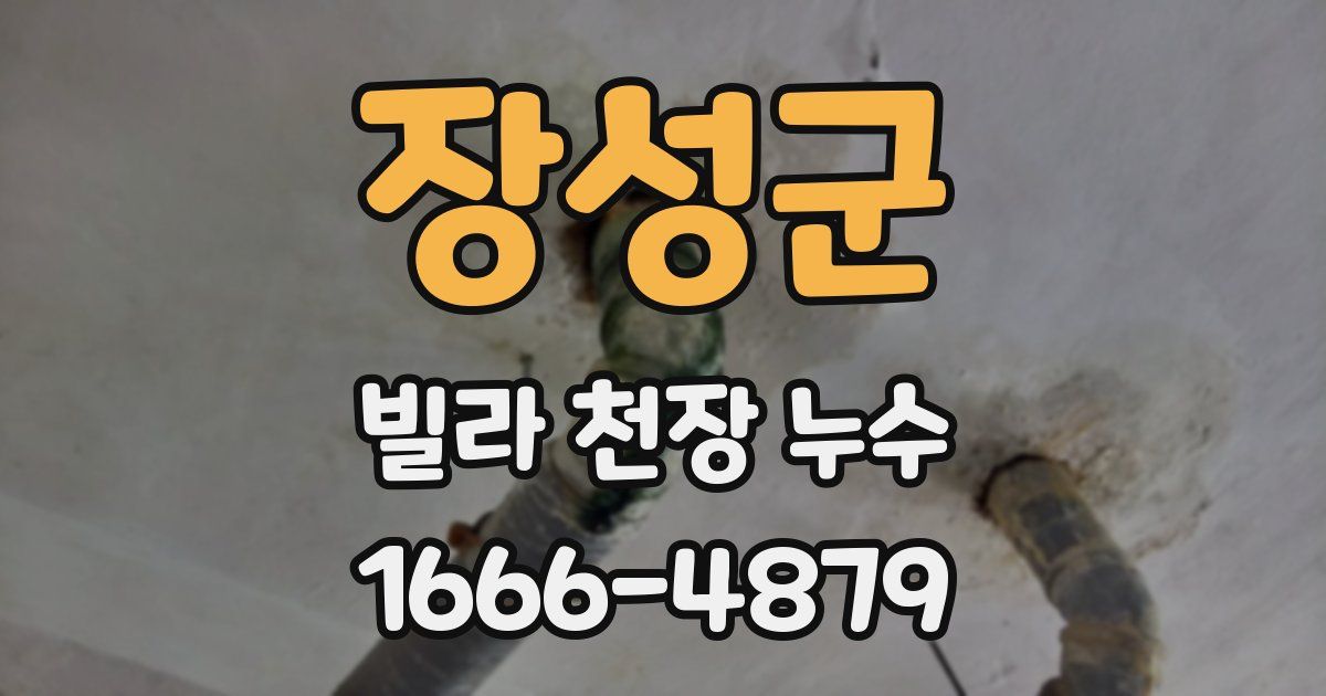 장성군 빌라 천장 누수