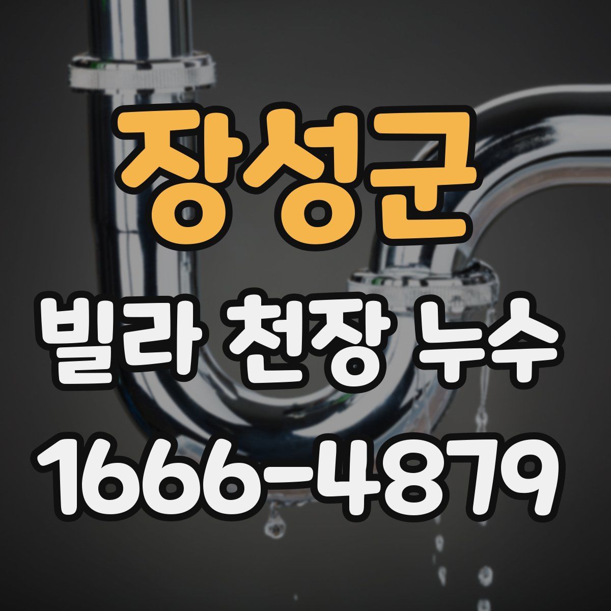 장성군 빌라 천장 누수