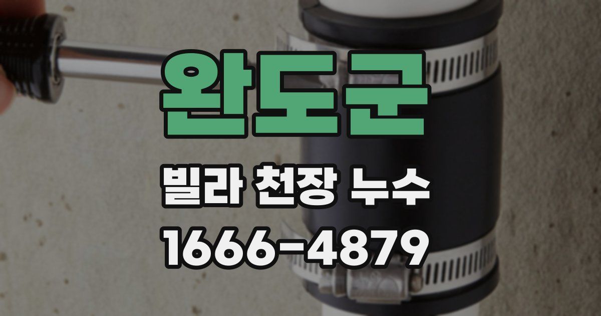 완도군 빌라 천장 누수