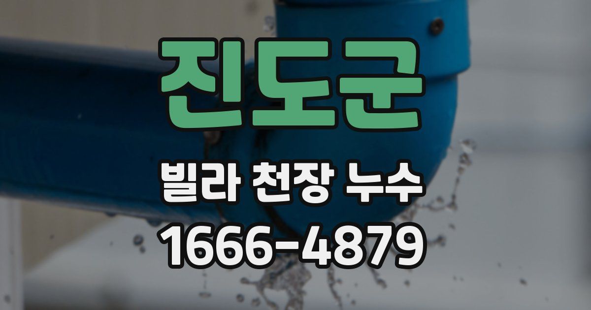 진도군 빌라 천장 누수