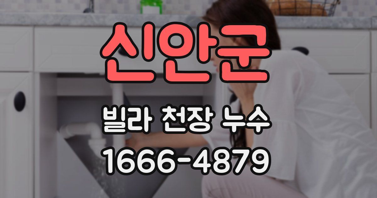 신안군 빌라 천장 누수