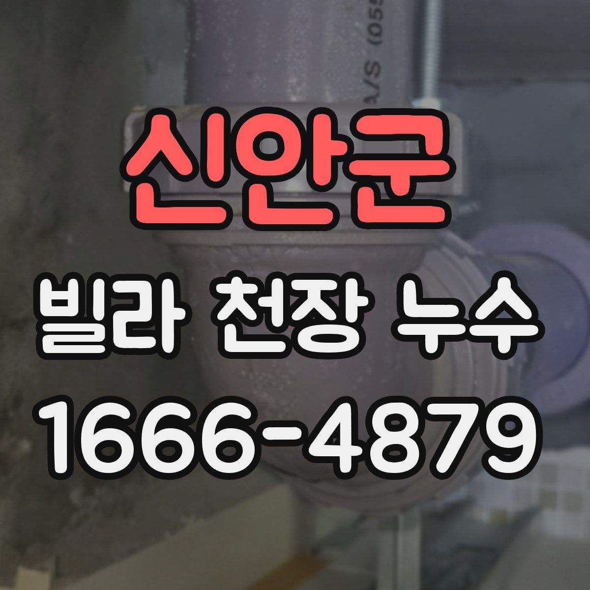 신안군 빌라 천장 누수