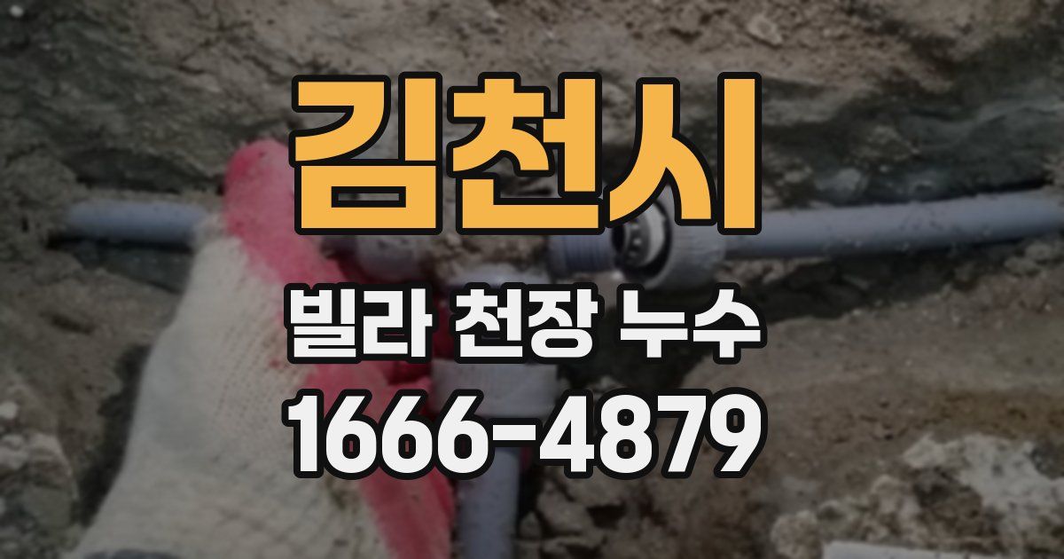 김천시 빌라 천장 누수