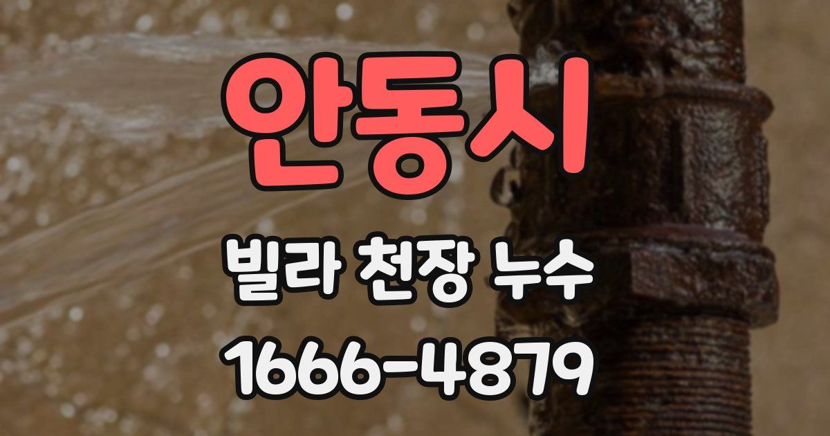 안동시 빌라 천장 누수