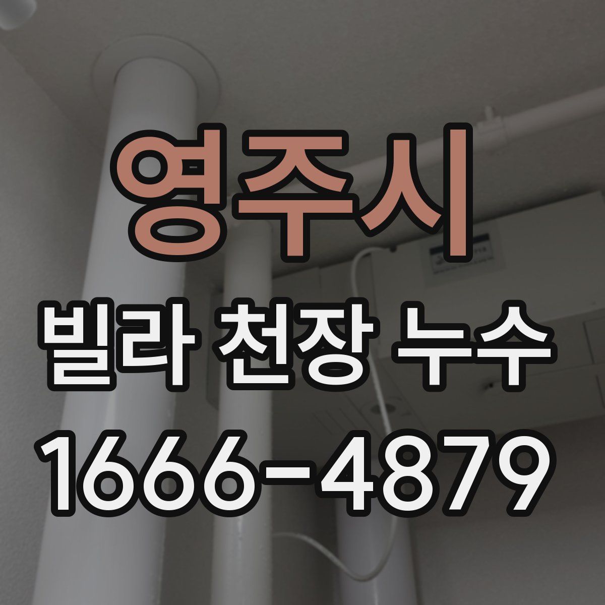 영주시 빌라 천장 누수