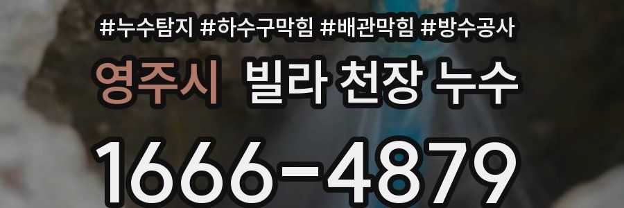 영주시 빌라 천장 누수