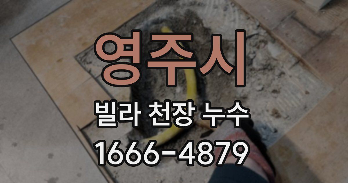 영주시 빌라 천장 누수