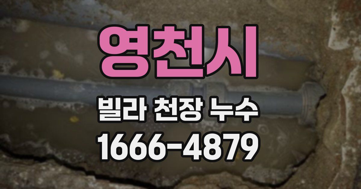 영천시 빌라 천장 누수