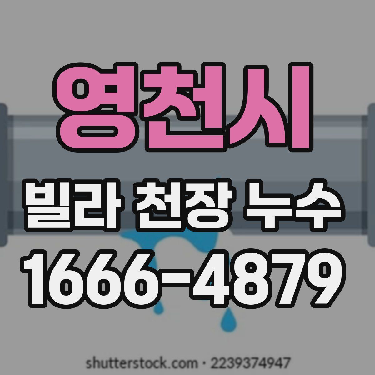 영천시 빌라 천장 누수