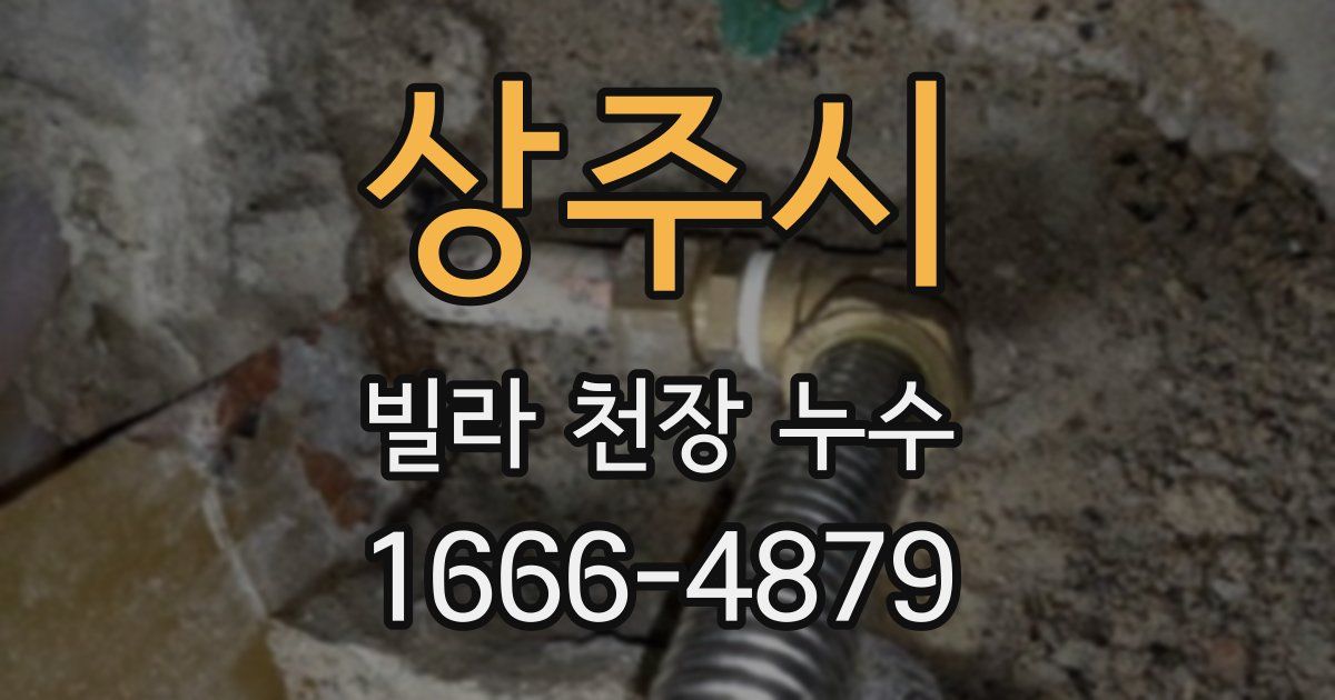 상주시 빌라 천장 누수