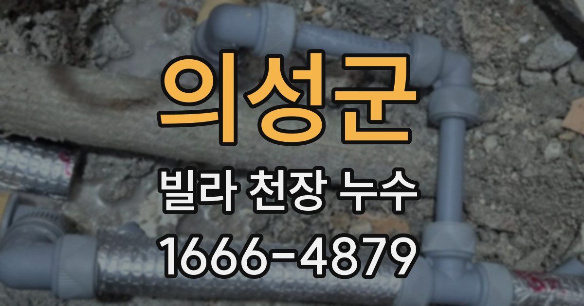 의성군 빌라 천장 누수