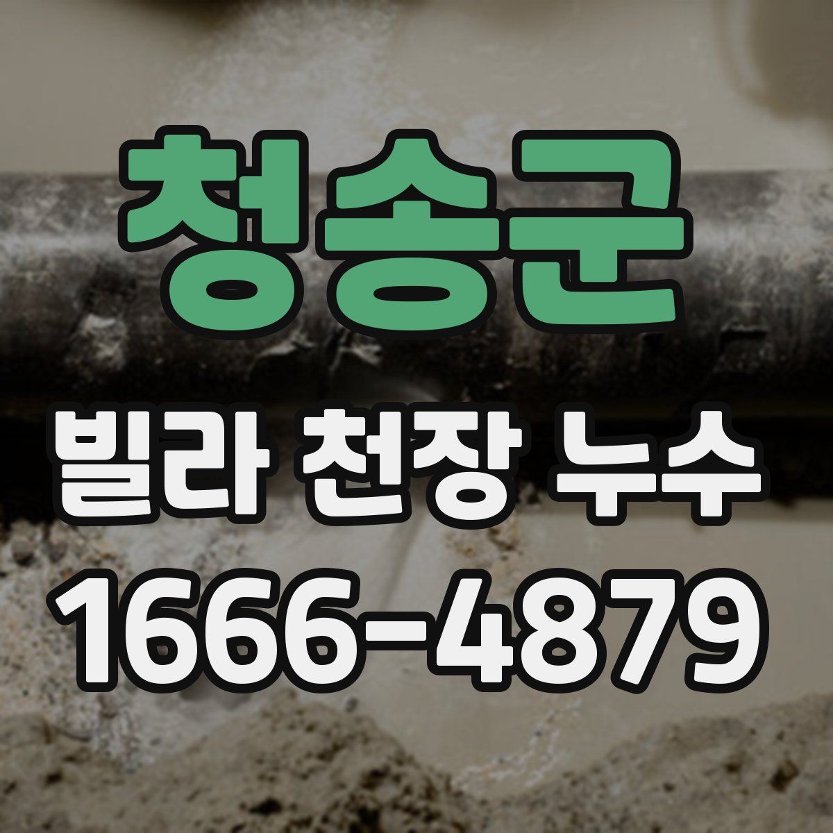 청송군 빌라 천장 누수