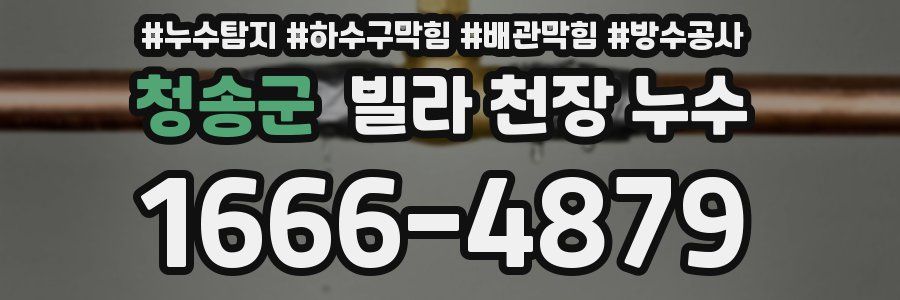 청송군 빌라 천장 누수