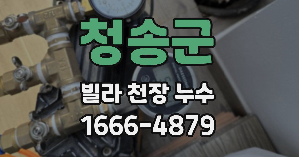 청송군 빌라 천장 누수