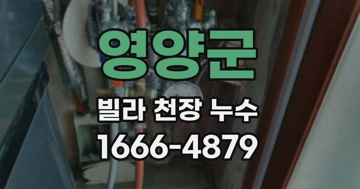 영양군 빌라 천장 누수