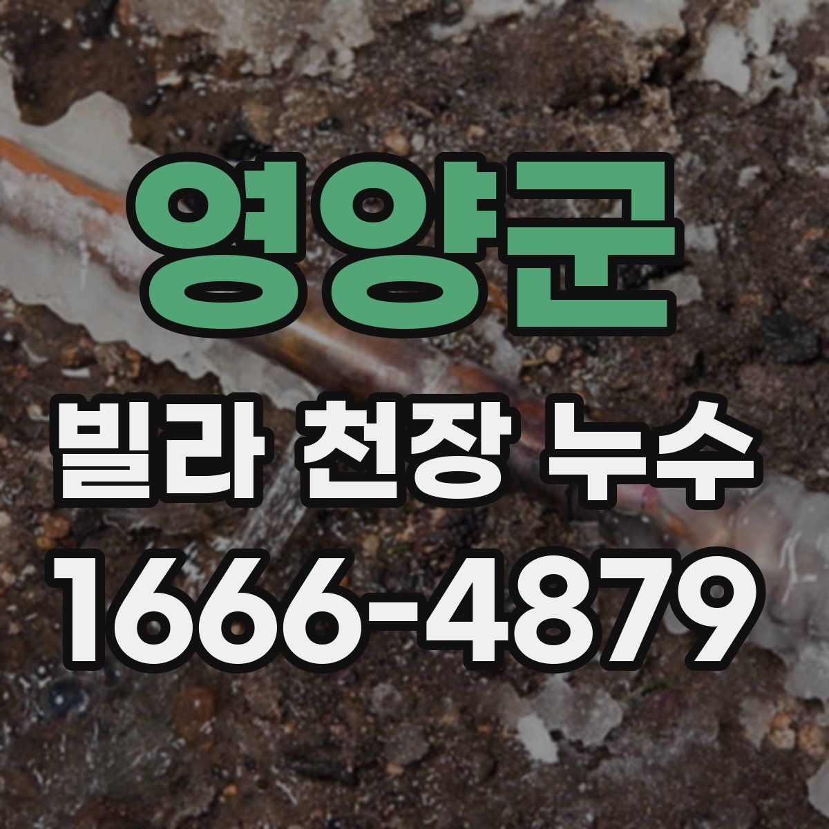 영양군 빌라 천장 누수