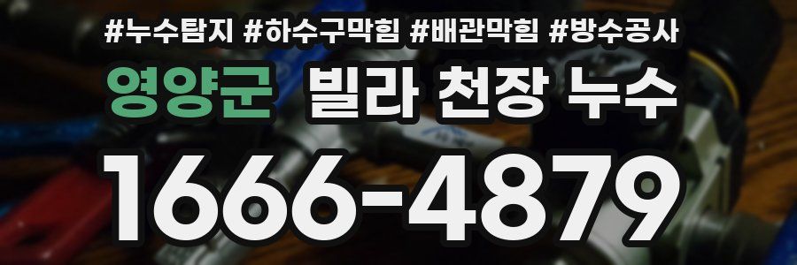 영양군 빌라 천장 누수