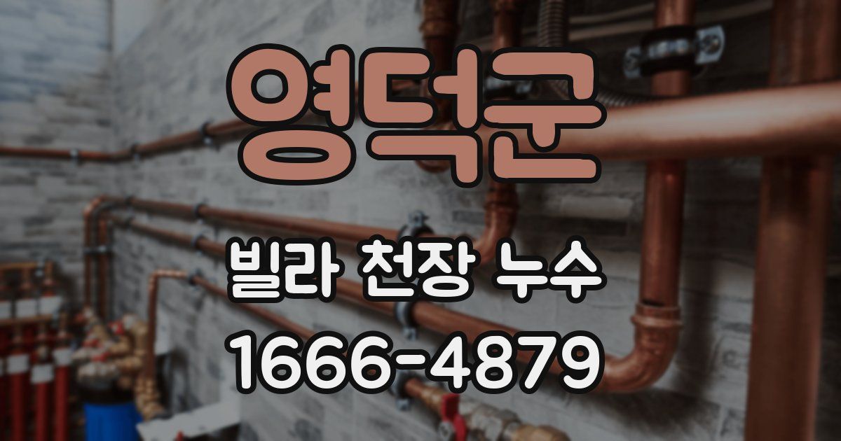 영덕군 빌라 천장 누수