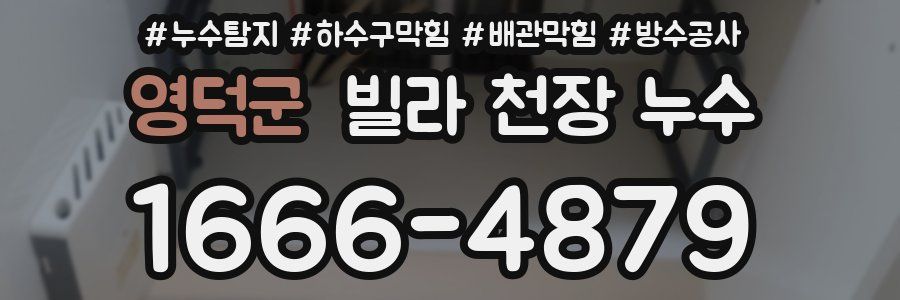 영덕군 빌라 천장 누수