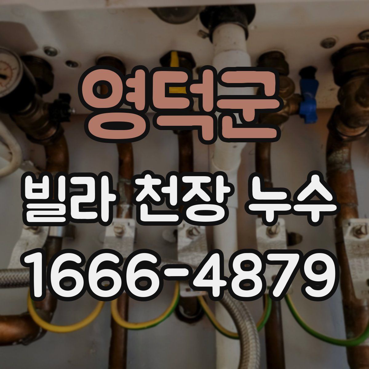 영덕군 빌라 천장 누수