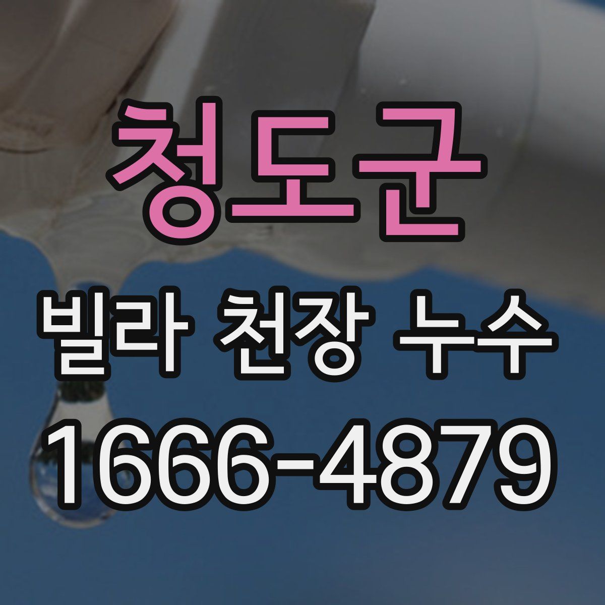 청도군 빌라 천장 누수