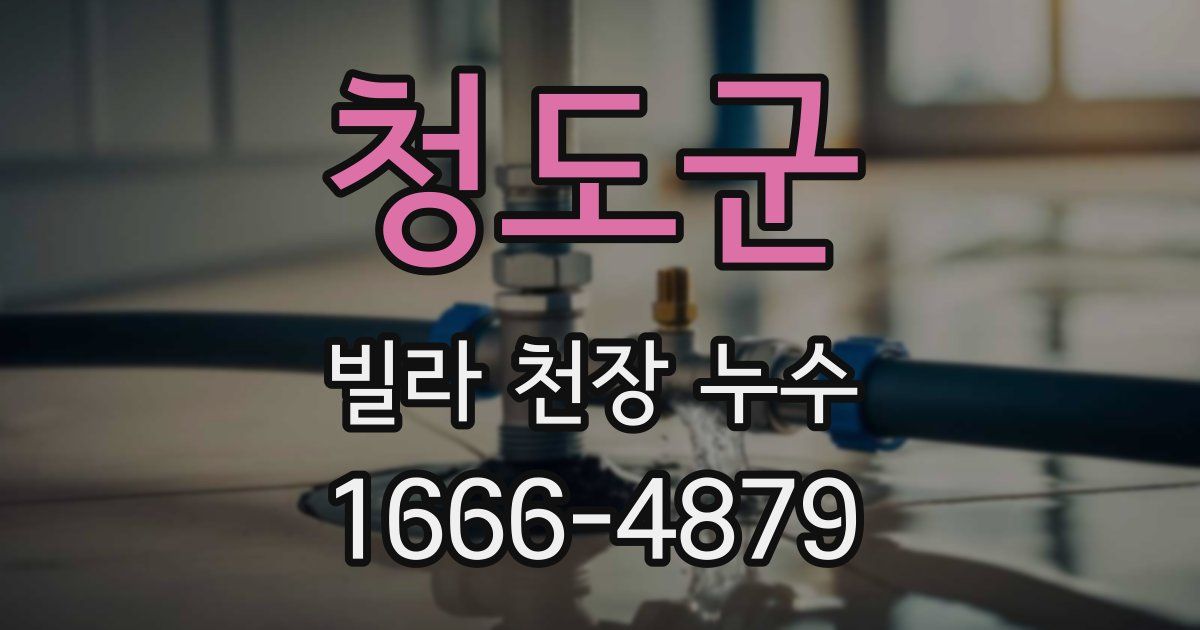 청도군 빌라 천장 누수