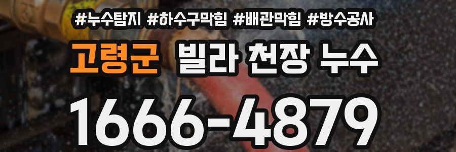 고령군 빌라 천장 누수