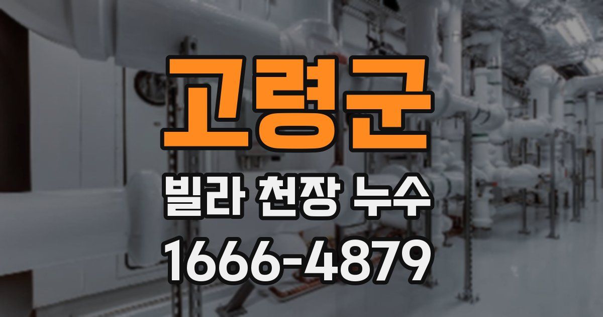 고령군 빌라 천장 누수