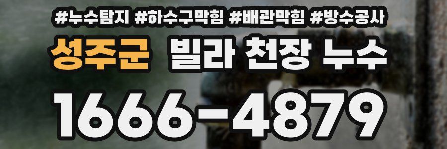 성주군 빌라 천장 누수
