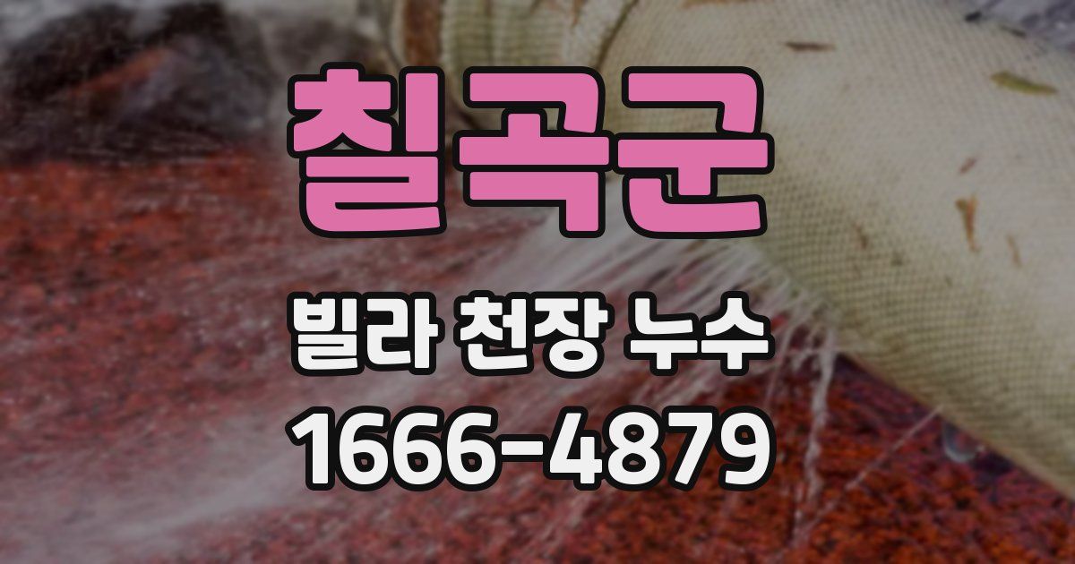 칠곡군 빌라 천장 누수