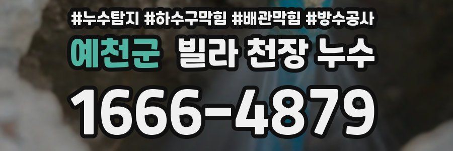 예천군 빌라 천장 누수