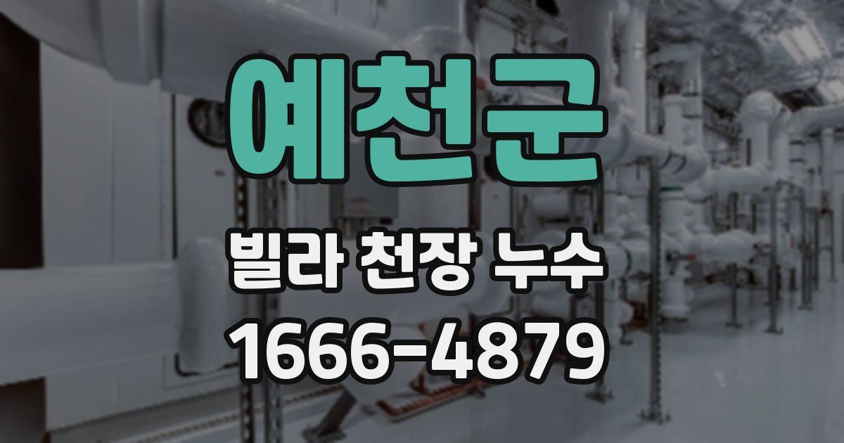 예천군 빌라 천장 누수
