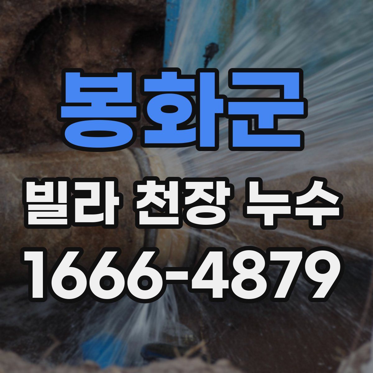 봉화군 빌라 천장 누수