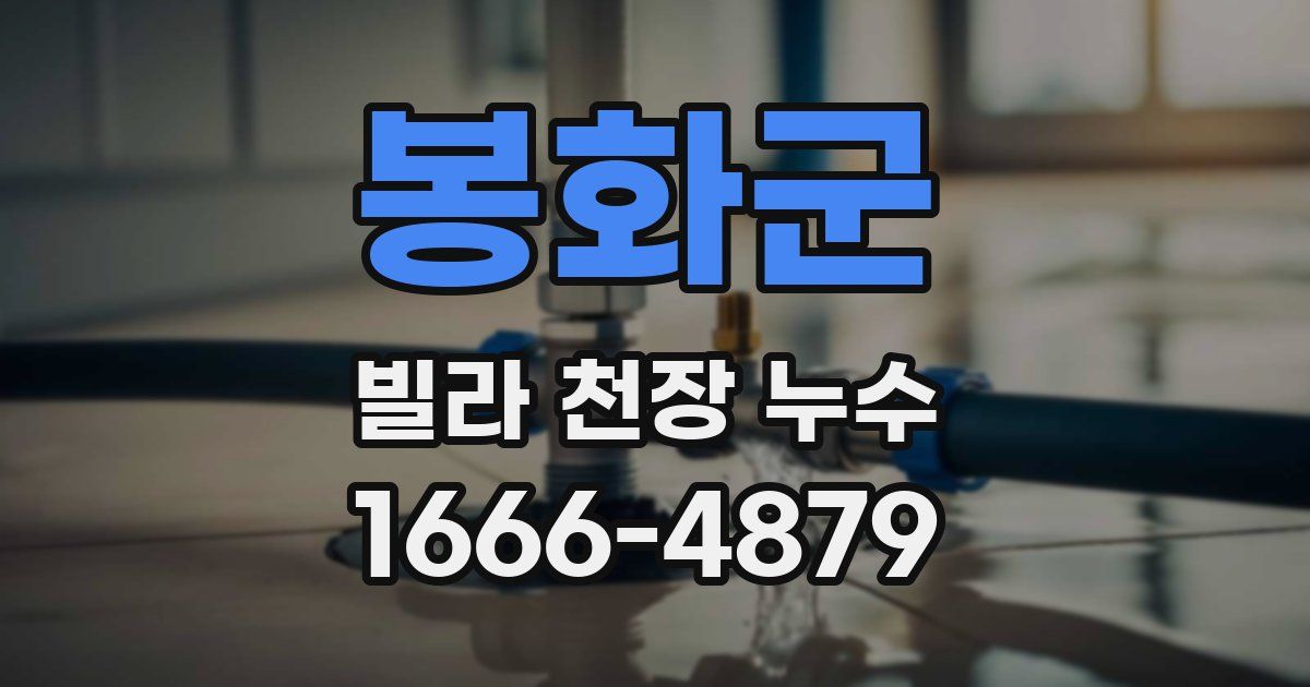 봉화군 빌라 천장 누수