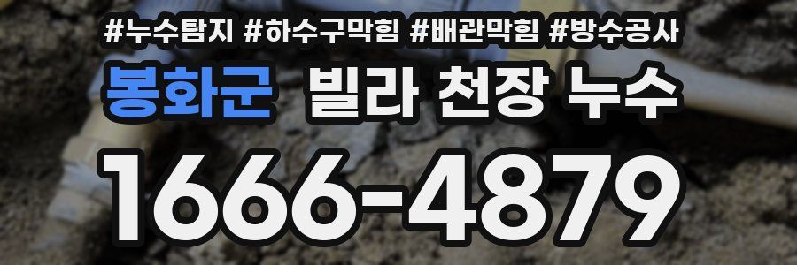 봉화군 빌라 천장 누수