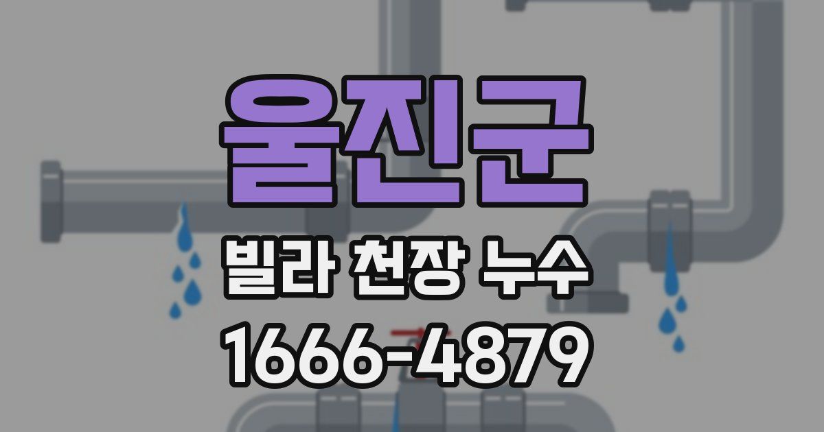 울진군 빌라 천장 누수